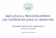 Agricultura y Biocombustibles: Las condiciones para su ... · Analizar ventajas y desventajas de la aplicación de normas alternativas de biocombustibles Definiciones específicas