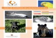 GUIA DE ZOONOSIS DE LAS ISLAS BALEARES - … · animales de compañía (perros y gatos), animales exóticos (mamíferos, aves y reptiles) y caballos. ... Laboratorial: técnicas de