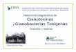 Detección diagnóstica de Cianotoxinas Cianobacterias .Toxinas cianobacterianas (Metabolitos secundarios)