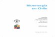 Bioenergía en Chile - Home - OLADE · Fortalecer las capacidades técnicas de los responsables de los ... Mejorar el diálogo y el intercambio de conocimientos en materias bioenergéticas
