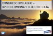 CONGRESO XVIII ASUG BPC COLOMBINA Y FLUJO …congreso.asugcolombia.com/memorias/docs/COMUNIDAD-FI-COLOM… · financiero de SAP, llevarla a hojas electrónicas, realizar conversiones