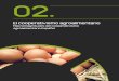 Macromagnitudes del Cooperativismo .Pg. 22 El cooperativismo agroalimentario EVOLUCI“N DEL COOPERATIVISMO