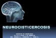 NEUROCISTICERCOSIS - higagandulfo.com.arhigagandulfo.com.ar/adjuntos/trabajo_jornada2013/neurocistercosis.pdf · las heces. En intestino los ... Respuesta inflamatoria. Formas de