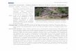 Huizachal, Formación…Triásico Superior (Nórico) …mapserver.sgm.gob.mx/lexico/Huizachal.pdf · con el microscopio petrográfico. Formación Huizachal. Conglomerado y arenisca