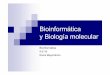 Bioinformática y Biología molecularwebdiis.unizar.es/asignaturas/Bio/wp-content/uploads/...Biología molecular para poder desarrollar y evaluar modelos abstractos y técnicas para