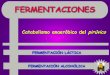 VÍAS DE CATABOLISMOiespoetaclaudio.centros.educa.jcyl.es/.../fermentaciones_2bach.pdf · FERMENTACIONES 2 ÁC. LÁCTICO2 ETANOL El NADH de la glucólisis cede sus e- a un último