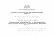 Escuela Universitaria de Magisterio de Segovia Grado …uvadoc.uva.es/bitstream/10324/3137/1/TFG-B.179.pdf · 3.1. Programación Anual: Enseñanzas básicas de Nivel I para el grupo