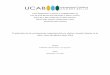 Producción de un cortometraje experimental con …biblioteca2.ucab.edu.ve/anexos/biblioteca/marc/texto/AAS9785.pdf · Producción de un cortometraje experimental con efectos visuales