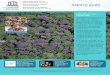 Reservas de Biosfera: integración de biodiversidad y ... · Oficina de UNESCO en Montevideo + info 54 nuevas inscripciones en el Registro Memoria del Mundo de la ... Girón, Macizo