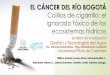 Presentación de PowerPoint - redcolombianafa.orgredcolombianafa.org/documentos/Dia1-Cancer-Rio-Bogota-Colillas... · Introducción 1300 millones de fumadores en el mundo (Pontificia