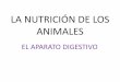 LA NUTRICIÓN DE LOS ANIMALES. - … animal.pdf · • Respiración: incluye el intercambio de gases con el medio, obteniendo O ... entrada de alimentos, y el ano, salida de residuos