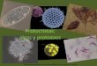 Protoctistas: algas y protozoosjapt.es/vida/protoctistas.pdf · 2014-04-16 · organización eucariótica, no encajan en los otros reinos de ... de los seres vivos como tales: 