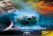 TÍTULO - Junta de Andalucía · ÁREA / MATERIA Física y Química NÚCLEO TEMÁTICO Bloque 3:Estructura interna de materia 3º de Educación Secundaria CORRESPONDENCIA ... 10 Material