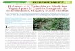 Agric 205 p05-101 - ias.csic.es · Vegetal para la Gestión Integrada de Enfermedades, Plagas y Malas Hierbas ... alcanzado por los entomólogos agrícolas en la gestión integrada