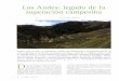 Los Andes: legado de la superación campesina · te o hacia uno de sus lados para permitir que el agua fluya sobre ellos y para conseguir ... de maíz y las programaciones de siembra