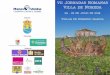 Presentación de PowerPoint - alcarriaesmas.comalcarriaesmas.com/DOCUMENTOS/Noheda2018.pdf · Centro de interpretación de la Villa Romana de Noheda (Antiguo silo - Villar de Domingo
