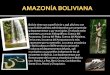 AMAZONÍA BOLIVIANA - YOUR TRAVEL. Agencia de … · puertas de su forma de vida al mundo para mostrar la belleza inimaginable de su hábitat los comunitarios del lugar sus anfitriones