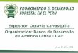 Untitled Presentation - Agrobanco · 2016-07-04 · Mejorar la ecoeficiencia de la industria forestal, desarrollar e implementar una estrategia de ... Agricultura Bosques ... basada