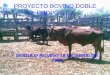 PROYECTO BOVINO DOBLE PROPOSITO - …€¦ · proyecto bovino doble proposito ... condiciones y manejo de ganado, molino forrajero, corral de manejo y establecimiento de 2 a 3 hectareas