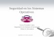 Seguridad en los Sistemas Operativos - SABIA-Groupsabia.tic.udc.es/docencia/ssi/old/2006-2007/docs/trabajos/03... · Solución de los sistemas de detección de intrusos. Seguridad