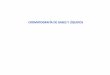CROMATOGRAFÍA DE GASES Y LÍQUIDOS - … CG y HPLC.pdf · INTRODUCCIÓN DE LA MUESTRA Cromatografía de líquidos de alta eficacia (HPLC) Volúmenes pequeños para evitar sobrecarga