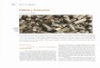 Pélets y briquetas - AITIM - Asociación de Investigación de …infomadera.net/uploads/articulos/archivo_2293_9990.pdf · No nos referiremos a las briquetas de carbón vegetal