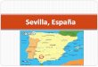 España - hasd.org 2014.pdf · La Catedral de Sevilla ... Es un centro de celebración durante la Semana Santa. la Giralda de la Catedral La Giralda era parte de la mezquita y ahora