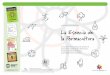La Esencia de la Permacultura - Versión en Español · La Esencia de la Permacultura Un resumen de los conceptos y los principios de permacultura extraídos del libro ‘Permacultura