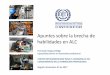 Apuntes sobre la brecha de habilidades en ALC - … · Apuntes sobre la brecha de habilidades en ALC Fernando Vargas Zúñiga Especialista Senior en formación profesional ... CAD
