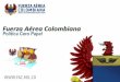 Fuerza Aérea Colombiana - emavi.edu.co · cambios relacionados con la gestión documental y por tanto, a la utilización de archivos en formatos electrónicos. CARTILLA BUENAS PRÁCTICAS