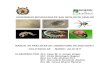 UNIVERSIDAD MICHOACANA DE SAN NICOLÁS DE …bios.biologia.umich.mx/obligatorias/zoologia/manual_practicas_zool... · Conozca las ventajas y desventajas de los diferentes métodos