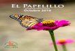 El Papelillo - Vallarta Botanical Gardens -€¦ · 15 Reporte Sobre los Programas Educativos y de Voluntariado del JBV ... cactus, crasuláceas y ... desde Tamaulipas hasta Chiapas