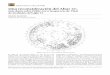Publicaciones en línea de PARI … · El Altar 21 de Caracol, Belice, es uno de los más importantes documentos históricos que tenemos en relación con los mayas del período Clásico