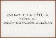 UNIDAD 7: LA CÉLULA: TIPOS DE ORGANIZACIÓN CELULAR · 1. LA TEORÍA CELULAR • Según grado de complejidad: • Célula procariota • Célula eucariota. • Diferencia fundamental->