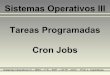 Tareas Programadas - Cron Jobs - carambula.net · utilizarse para ejecutar cualquier tarea. Sistemas Operativos III – ISBO – ITS – EMT – CETP - 2013 Prof. L. Carámbula ¿Qué