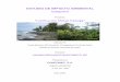 ESTUDIO DE IMPACTO AMBIENTAL - … II, Lotificacion Colon_FINAL.pdf · i ESTUDIO DE IMPACTO AMBIENTAL Categoría II Proyecto: “Lotificación Ocean Canopy” Ubicado en: Punta Barranco