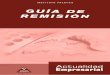 Guías de Remisión - Revista Actualidad Empresarialaempresarial.com/web/libros_virtuales/lv2012_guia-remision/lv2012... · ¿Cuáles son los requisitos para la emisión de las 