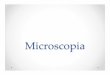 Microscopia)* - cursosdrarodriguez.weebly.comcursosdrarodriguez.weebly.com/.../microscopio.pdf · Microscopio de Campo Claro (compuesto de Luz) Microscopio de contraste de fase (microscopio