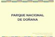 PARQUE NACIONAL DE DOÑANA · Parque Nacional de Doñana: Biología y Geología David Leunda San Miguel . Valor medioambiental Extraordinaria riqueza de especies flora y fauna Rutas