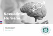 Sexualidad Humana - enlace.edu.mx · biopsicosexual. orientaciÓn sexual.....50 1 4. identidad e imagen corporal sexual.....56 1 5. ¿quÉ es la persona?.....64 1 6. trastornos neuroplÁsticos