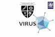 Universidad de Los Andes - Venezuela Facultad de … · estructura y dimensiÓn de los virus ula. facultad de medicina. ... etapas de la replicación viral: ... clasificaciÓn viral