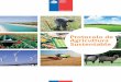 Protocolo de Agricultura Sustentable - odepa.gob.cl · Diseño y diagramación: Carla Caorsi Riveros ... cada uno de los principios de agricultura sustentable. 7 ... / PROTOCOLO AGRICULTURA