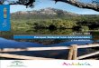 Guía - Junta de Andalucía · Altitud máxima: 1.092 m (Pico de El Aljibe o Pilita de la Reina) Datos climáticos: ... Alcornocales, acebuchares, quejigares, bosques de niebla y