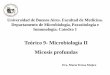 Teórico 9 - Microbiología II Micosis profundas³rico 9 Microbiología 2.pdf · Levadura en forma de navecilla o cigarro Diagnóstico. microbiológico. Histopatología. Formación