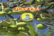 JUANFRA, S.L.aceitunasjuanfra.es/wp-content/uploads/2015/03/Catalogo.pdf · y encurtidos, desde manzanilla en sus diferentes preparados (rellenas de anchoa, rellenas de pimiento,