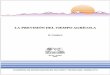 LA PREVISION DEL TIEMPO AGRICOLA · 2012-11-15 · en la parte céntrica del ámbito jurisdiccional del distrito de Pilcuyo, provincia de Chucuito y ... El clima en la zona circunlacustre