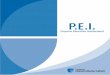 P.E.I. - unicafam.edu.co · 3 14 2 Modelo de formación con enfoque en competencias de la Fundación ... curricular y didáctica del proyecto ... Sistemas de Información e Informática,