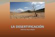 La desertificación es un proceso de degradación … · Algunas de las causas de la desertización son: ... planeta, sobre todo en países en vías de desarrollo que hacen una mala