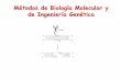 Métodos de Biología Molecular y de Ingeniería Genéticadepa.fquim.unam.mx/amyd/archivero/Clase23_21999.pdf · Aislamiento de DNA 2. Cortar con enzimas de restricción 3. Separar