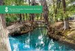 Conservación y restauración de suelos en - slp.gob.mx · 1 Comisión Nacional de Áreas Naturales Protegidas (CNANP) Conservación y restauración de suelos en localidades de Rioverde,